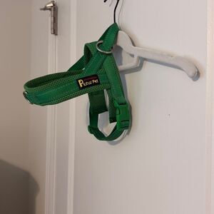 Green Dog Harness
